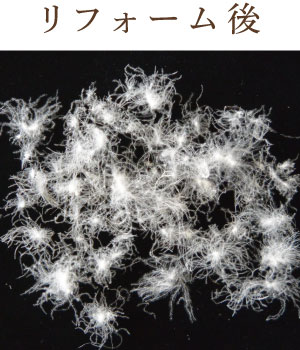 リフォーム後の羽毛