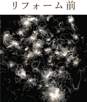 リフォーム前の羽毛