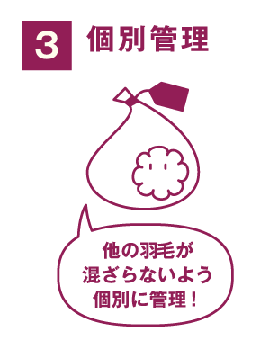 プレミアムダウンウォッシュ_step3_個別管理